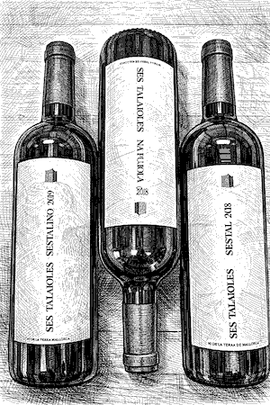 Finca Ses Talaioles sortimetkasse á 6 fl. 