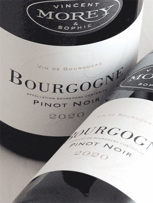 V& S Morey / Bourgogne Rouge 2020