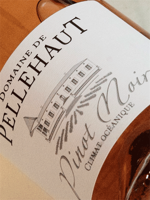 Domaine Pellehaut / Rosé Pinot Noir / Côtes de Gascogne 2023